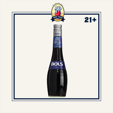Bols Blueberry 700ml 1